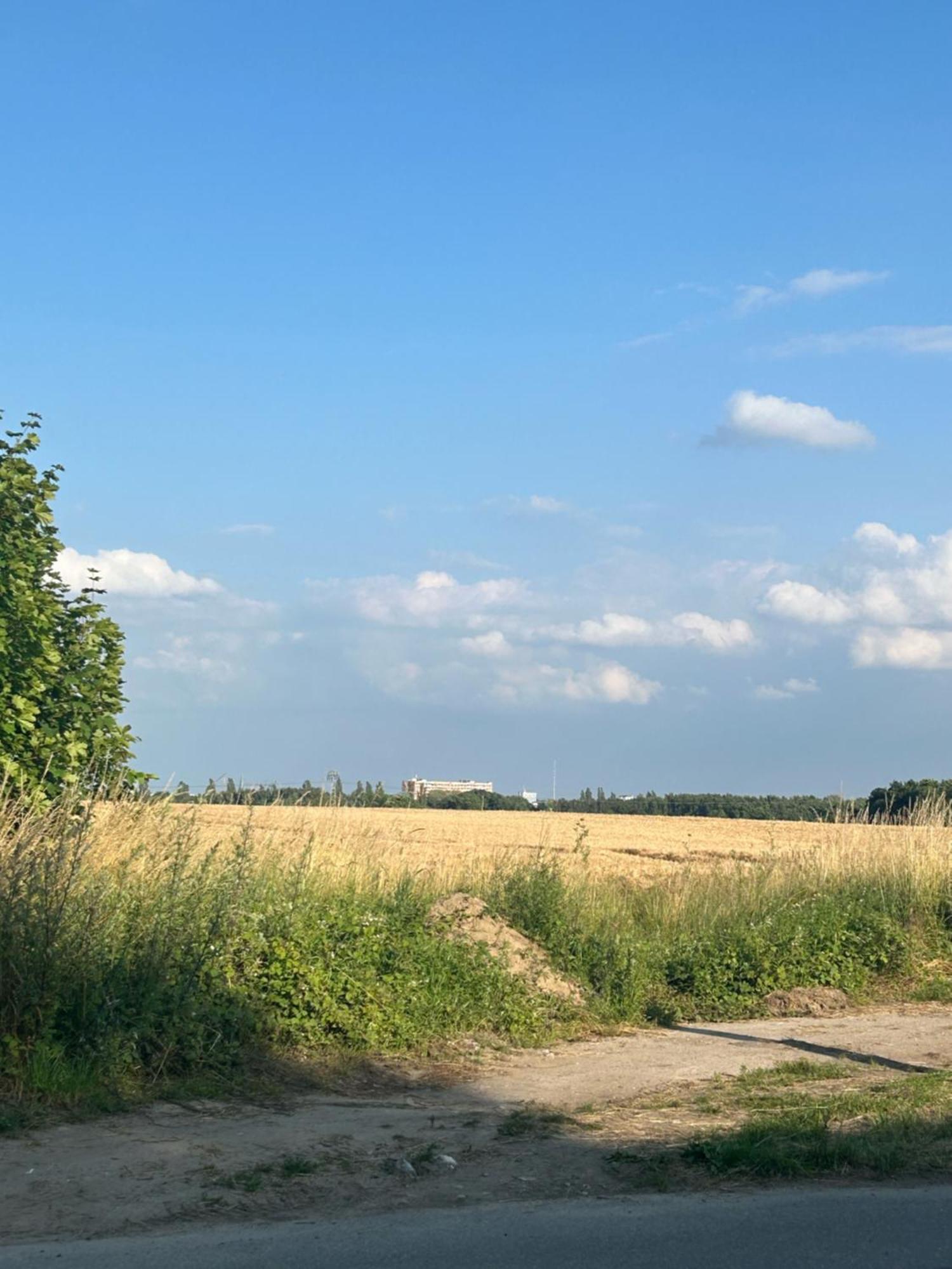 Ferienwohnungen Mit Feldblick Σβερίν Εξωτερικό φωτογραφία